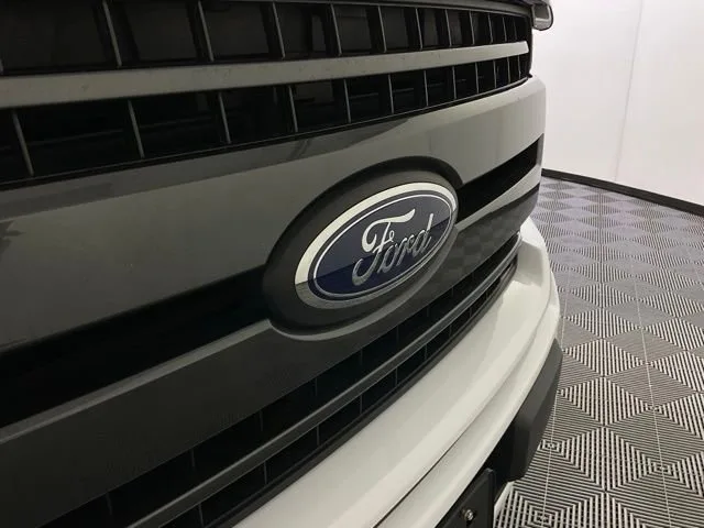 2019 Ford F-150 XL — thumbnail 9